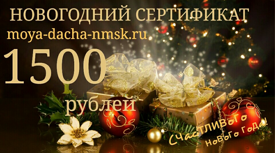 сертификат Новогодний 1500
