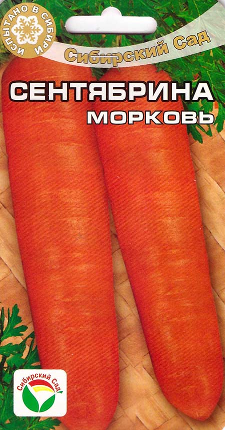 морковь Сентябрина