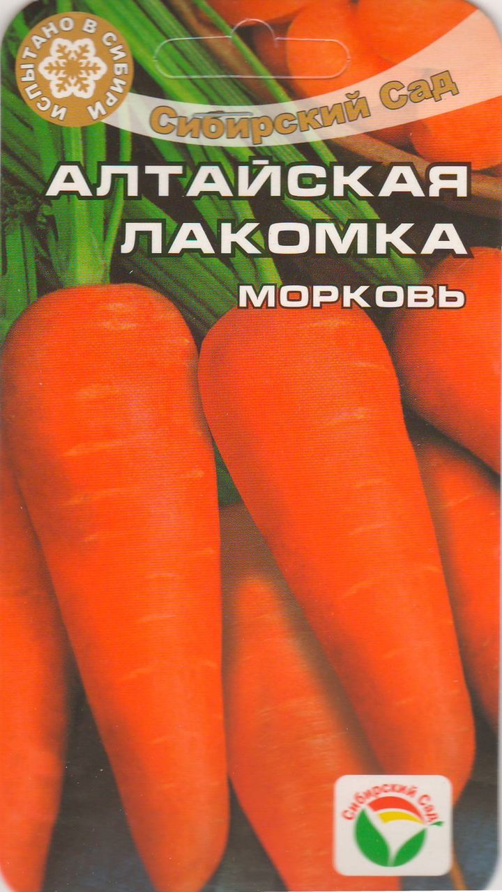 морковь Алтайская лакомка