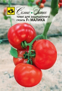 томат Малика